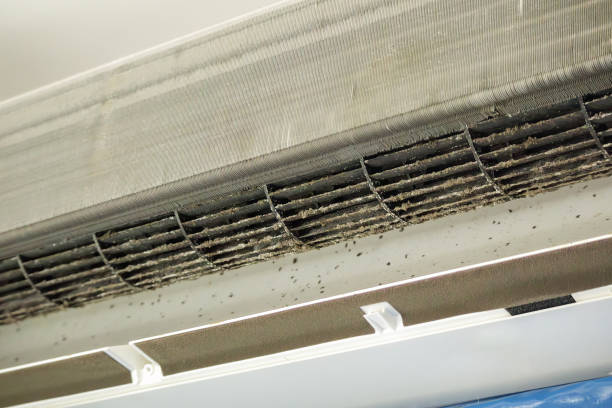 Best HVAC System Cleaning  in King Of Prussia, PA